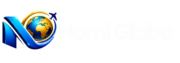 glossy nomi globe logo